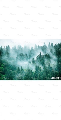 Tło fotograficzne Ch125D